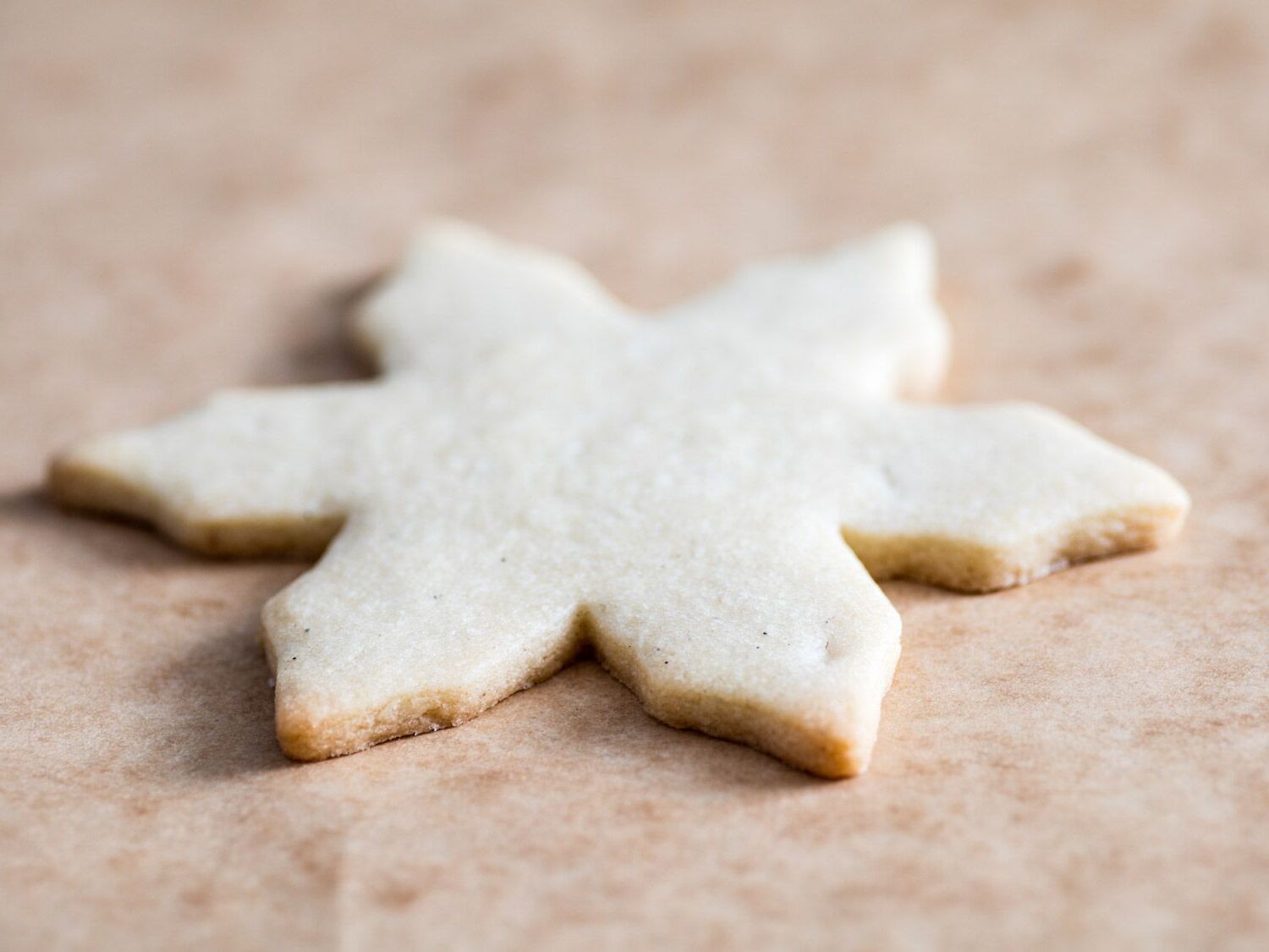 rolled-sugar-cookies-recipe